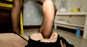 204232r1l55dd2rs41c24i.gif