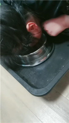 2407121840_20240712184221.JPG