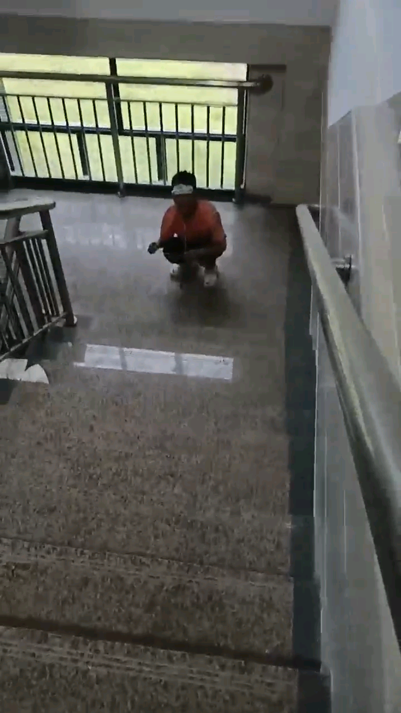 1730458289212.jpg