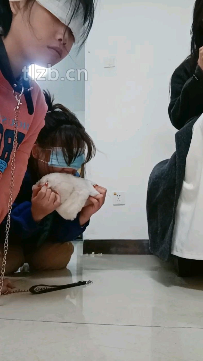 1730460101926.jpg