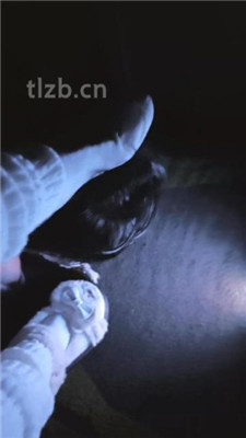 010459zhi33wjvswj7h9kj.jpg
