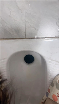 11 (1).JPG
