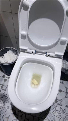2511020818_20251102090101.JPG