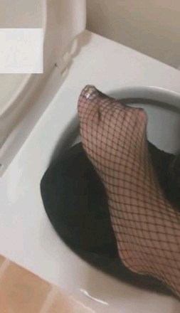 414d31da1478bb989070ab5a966696cf.jpg