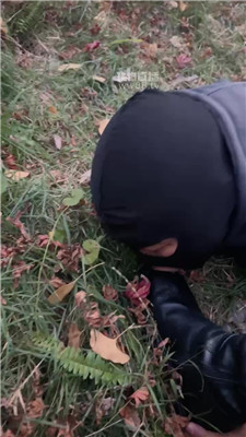 2511291851_20251129185523.JPG
