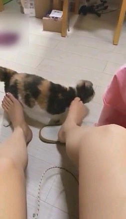3b9f230c707e691b26b6903f15a97bd6.jpg