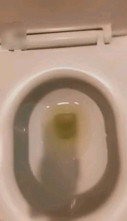 38894701dfd23f08d3dffb7c2d8fed5e.jpg