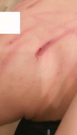 c0d71f00934396e5eab180fb96ce8d61.jpg