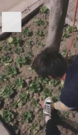 215411343209a911f6ba4e271f71af81.jpg