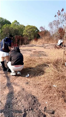 2601191643_20260119164450.JPG
