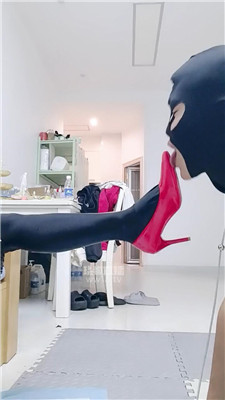 m_20260212072540.JPG