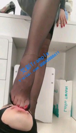 f369b87315c65cc2b7ae4e079263f2f6.jpg