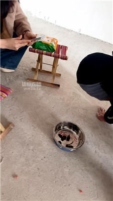 2602191556_20260219155854.JPG