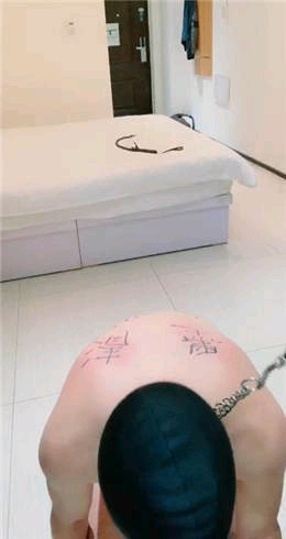 0ceb32eb5169dabab4325c04b53e4c33.jpg