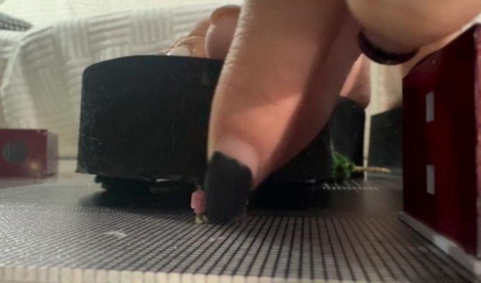 1 (11).jpg