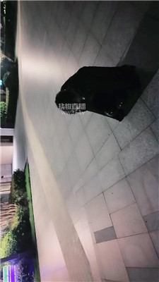 2608080755_20260808082720.JPG