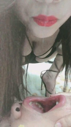 cf6fae4439892079a8049a600b035d2d.jpg