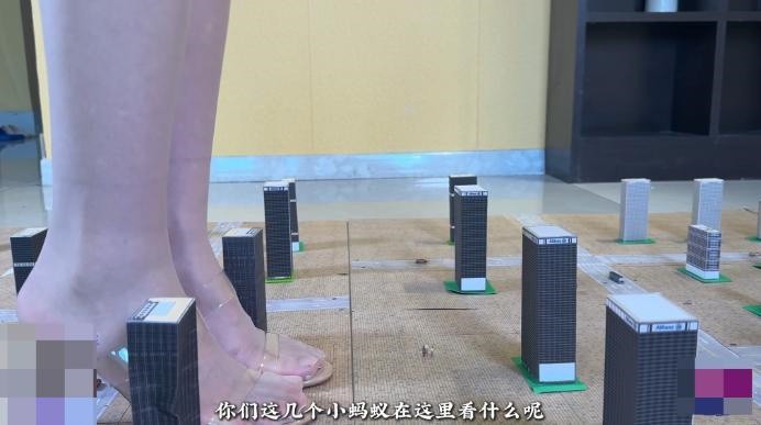 2 (15).jpg