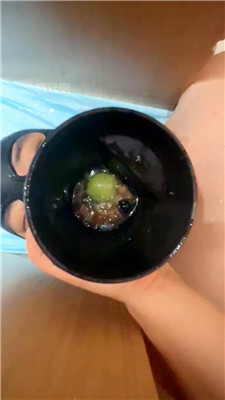 2609072020_20260907201956.JPG