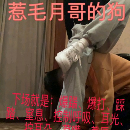 fc7c30272e75c6ccc89e2f058d48b92e.jpg