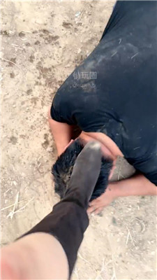 2609171846_20260917184626.JPG