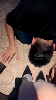 灰太狼素人开发4838
