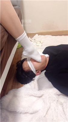 生菜6148