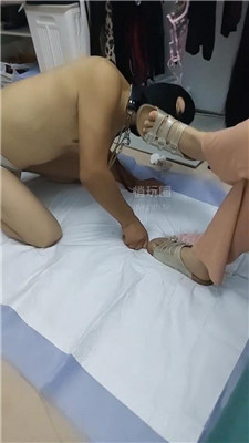 晴朗3144