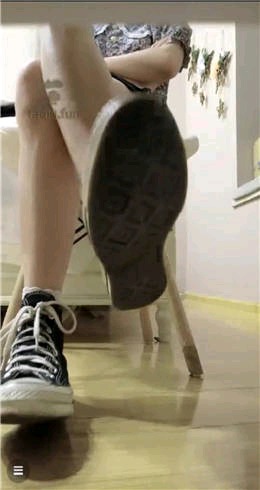 哈宝桌下视角棉袜指挥