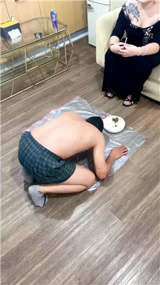 妮妮大人猫妈妈2941+3314